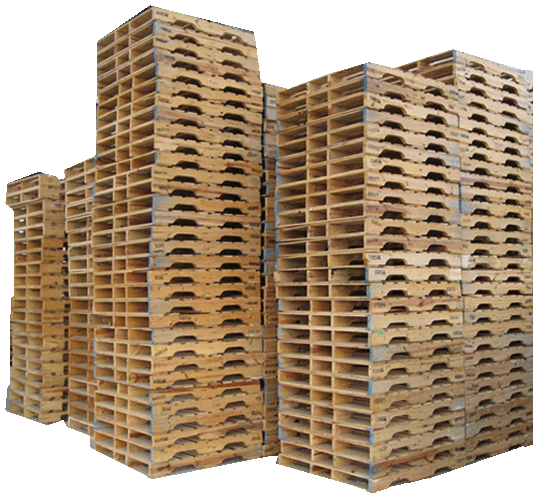 Air & Sea Export Cargo Pack